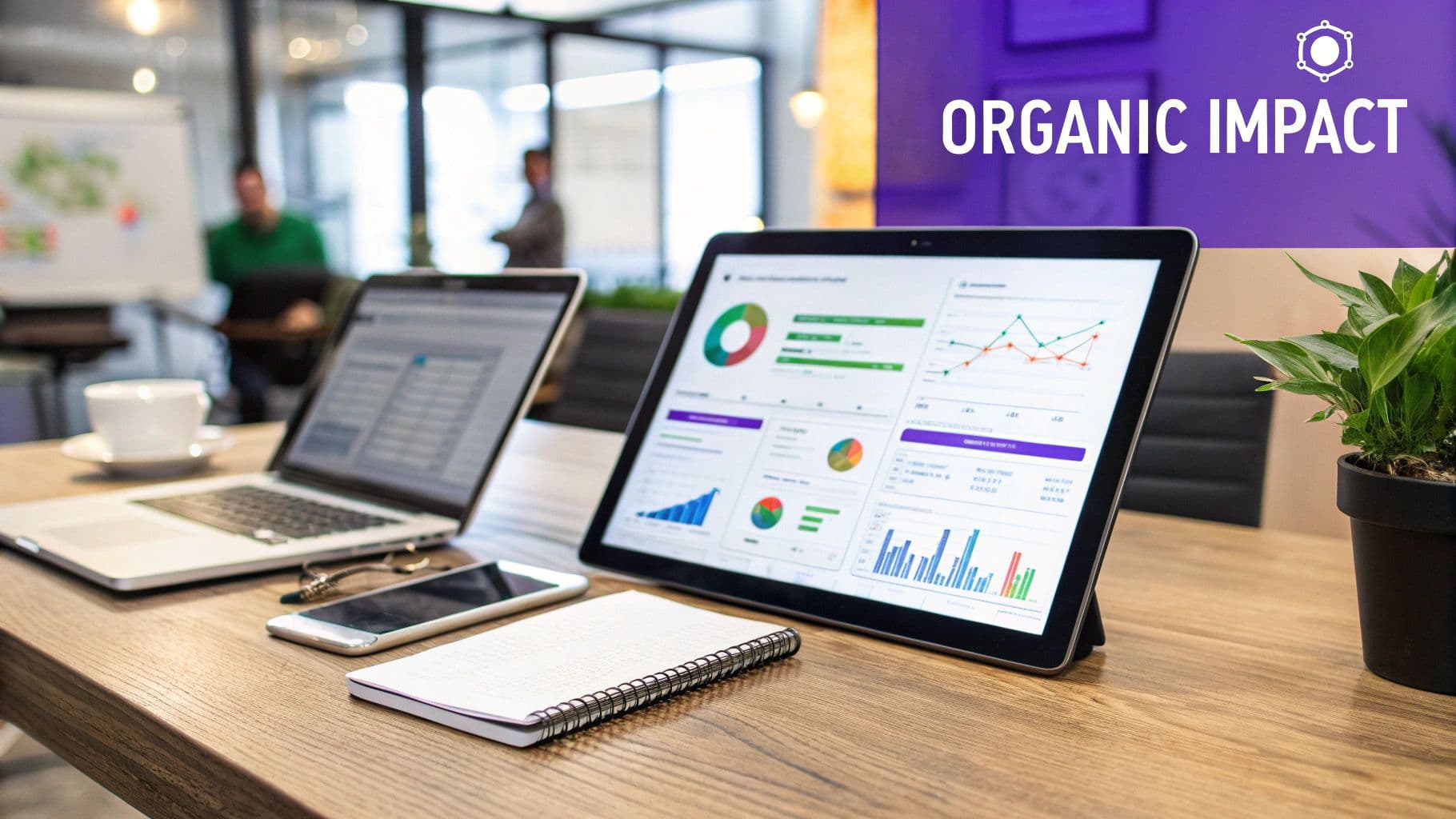 Decoding the World of Organic SEO Companies